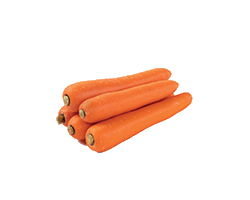 CARROT BEI YA FUNGU 1